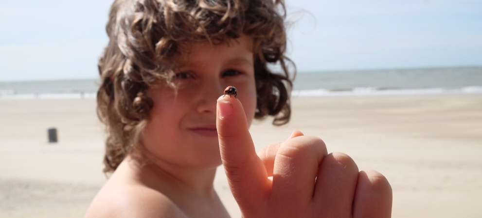 kind strand