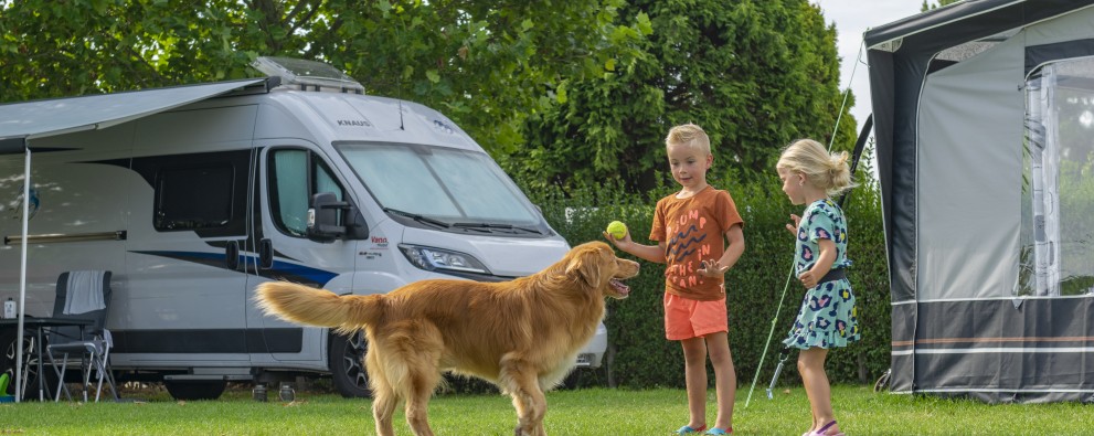 DSC_5256.jpg DSC_5256.jpg