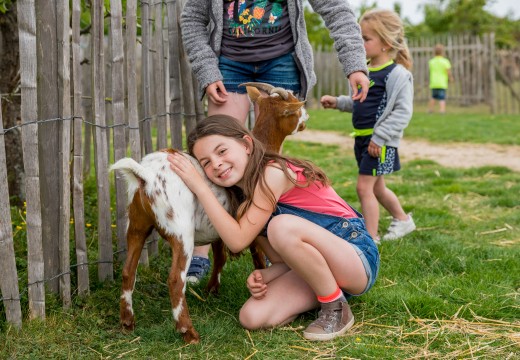 Kindjes met de geitjes3.jpg