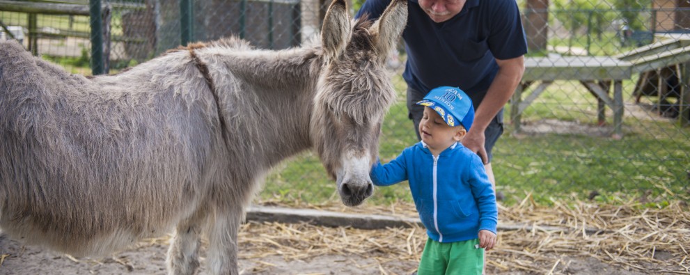 Speelboerderij Pierewiet